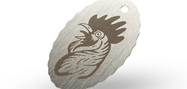 Stainless steel brushed